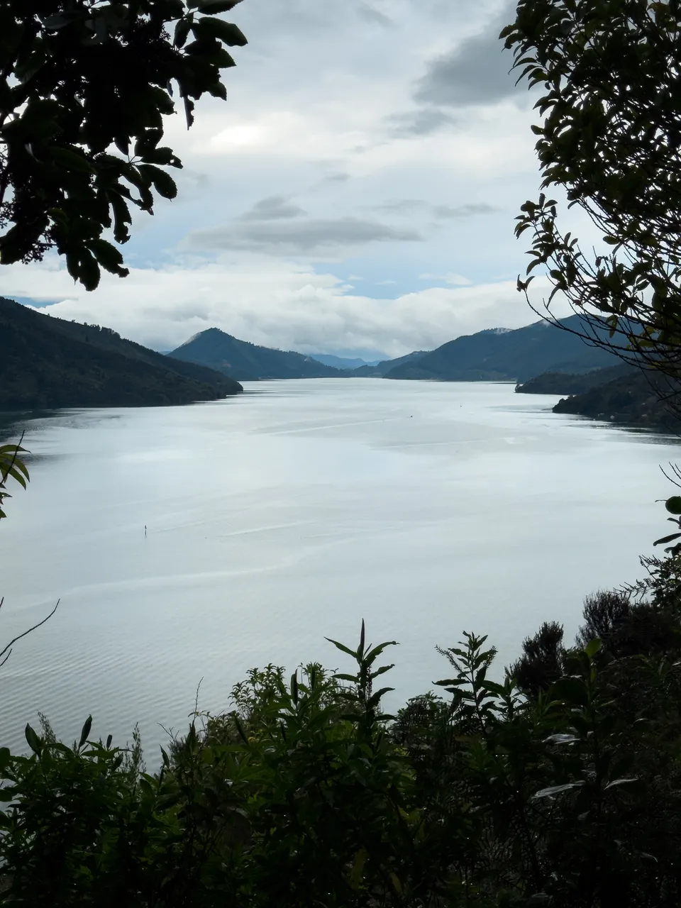 Marlborough Sounds - Finding Alexx