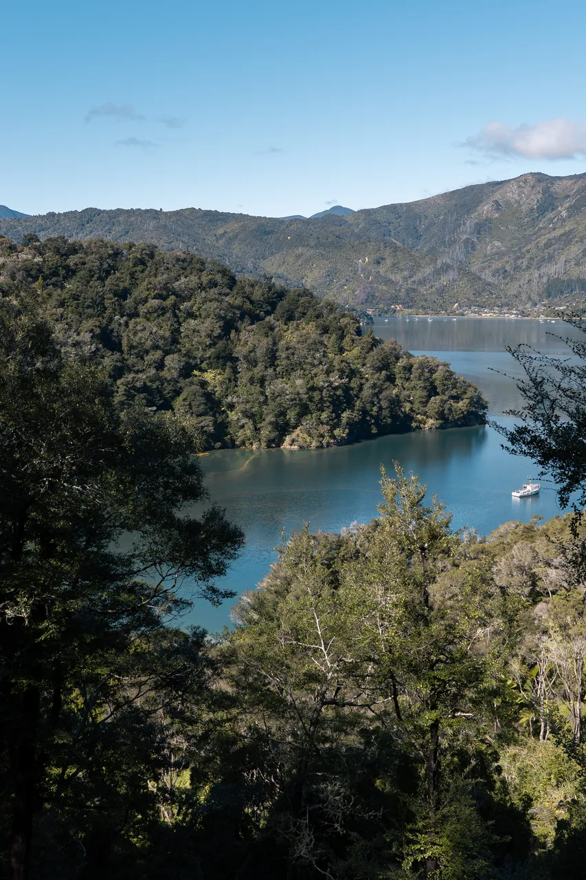 Marlborough Sounds - Finding Alexx