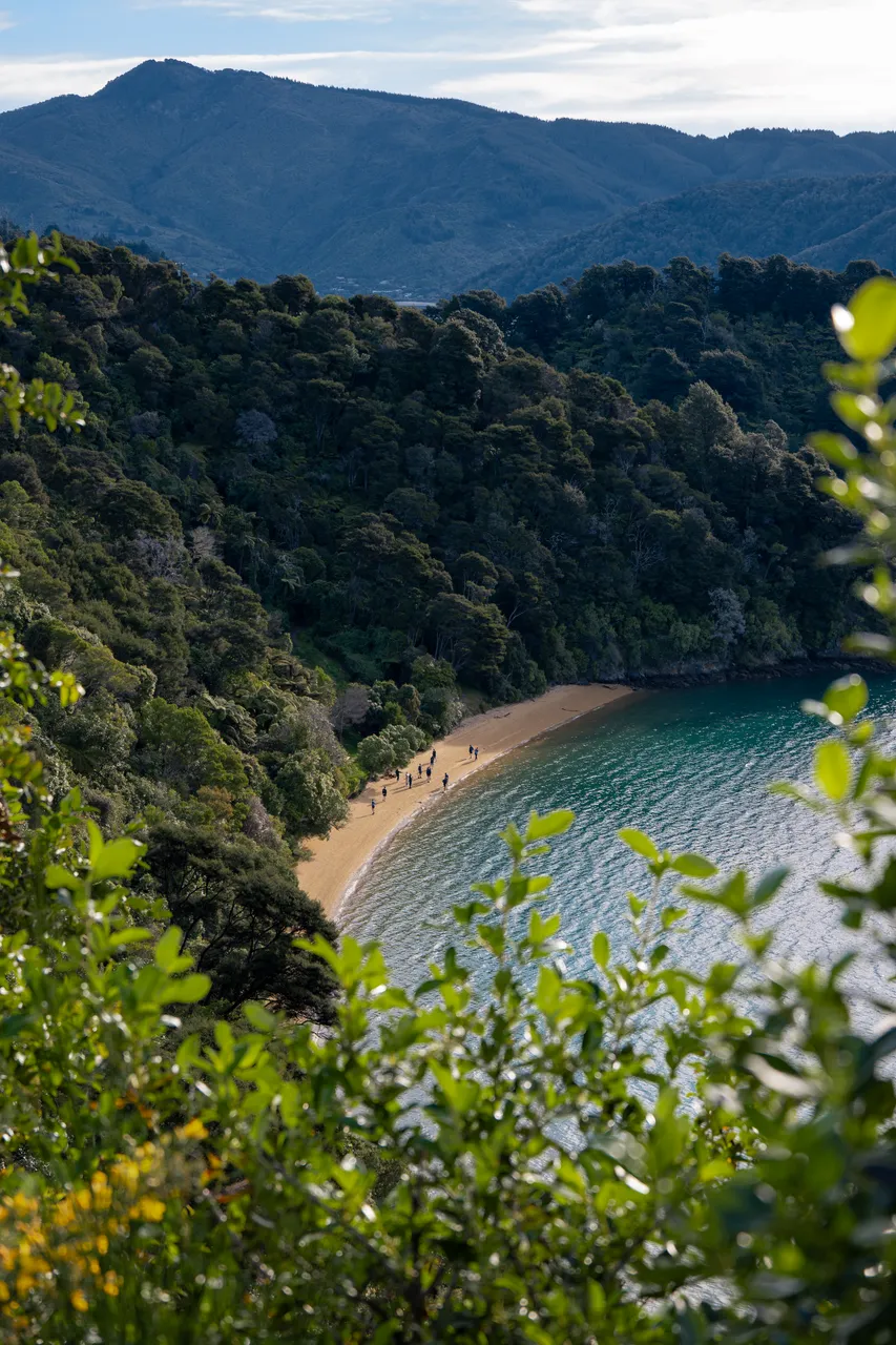 Marlborough Sounds - Finding Alexx