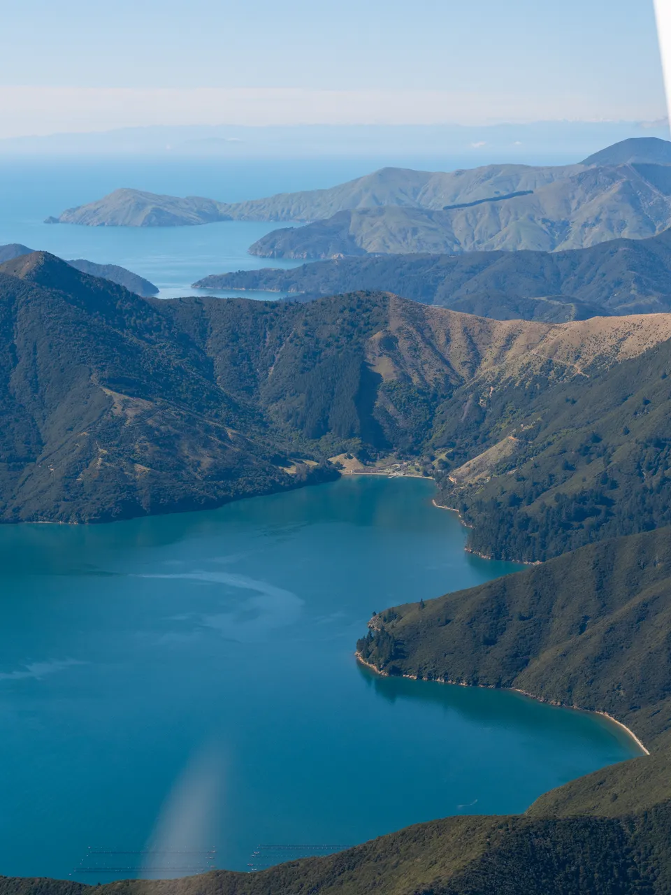 Marlborough Sounds - Finding Alexx