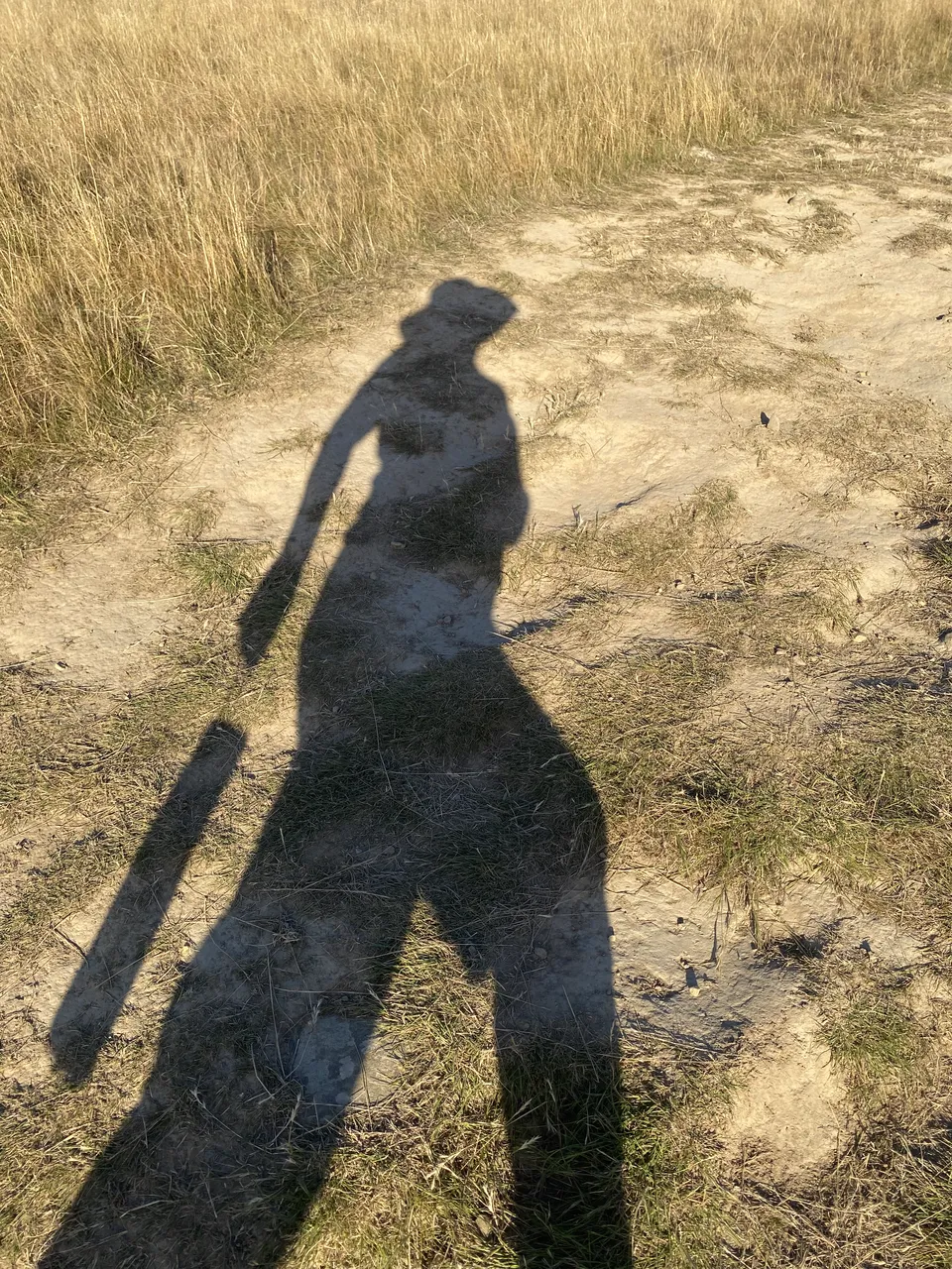 2026_03_05 Wither Hills Mt Vernon via Ridgeline walk d