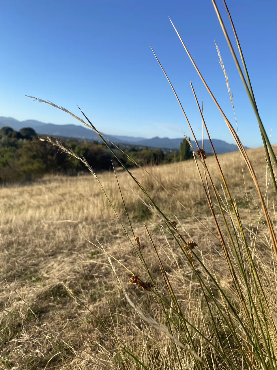 2026_03_05 Wither Hills Mt Vernon via Ridgeline walk