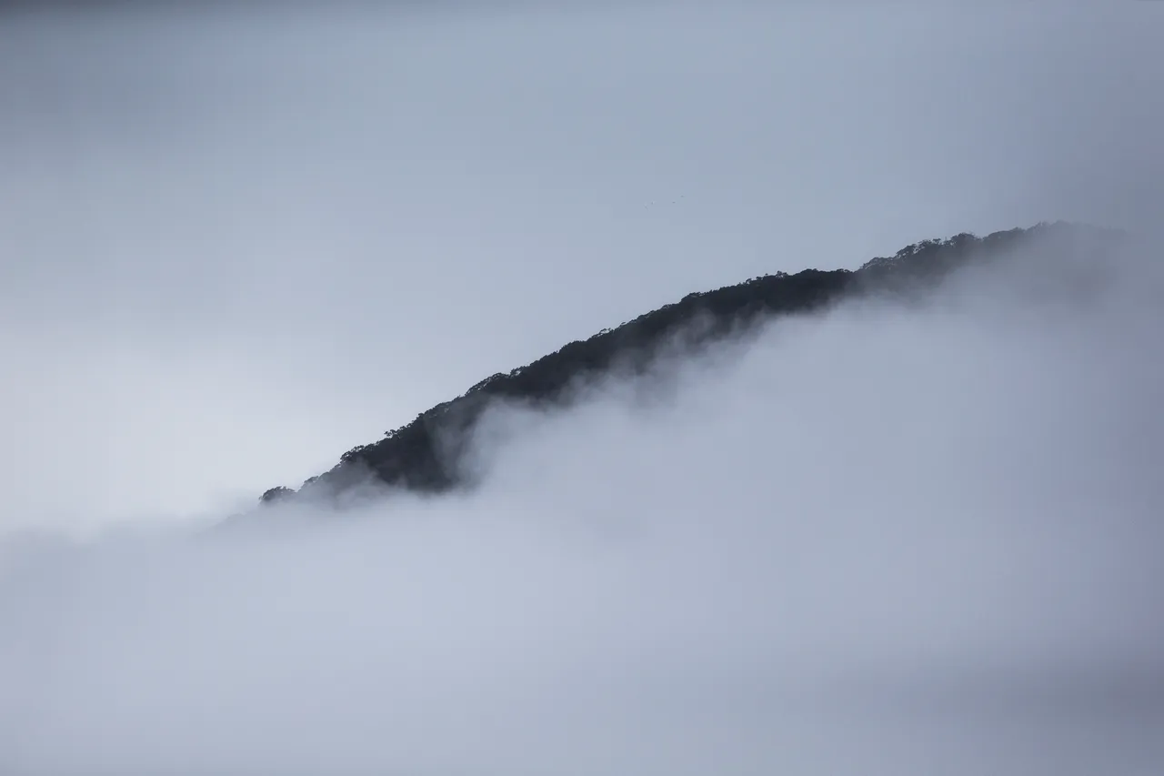Milford Sound Scenery