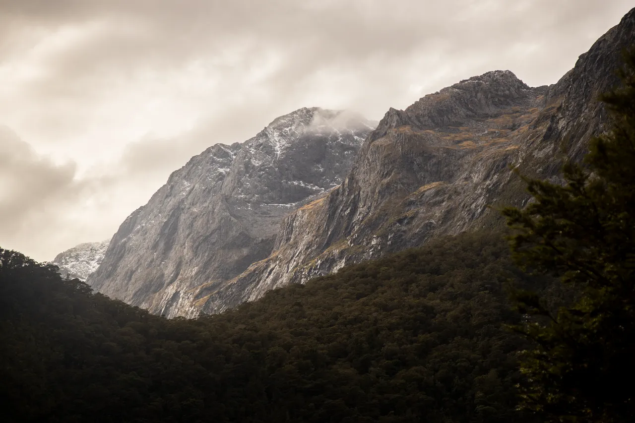 Milford Sound Scenery