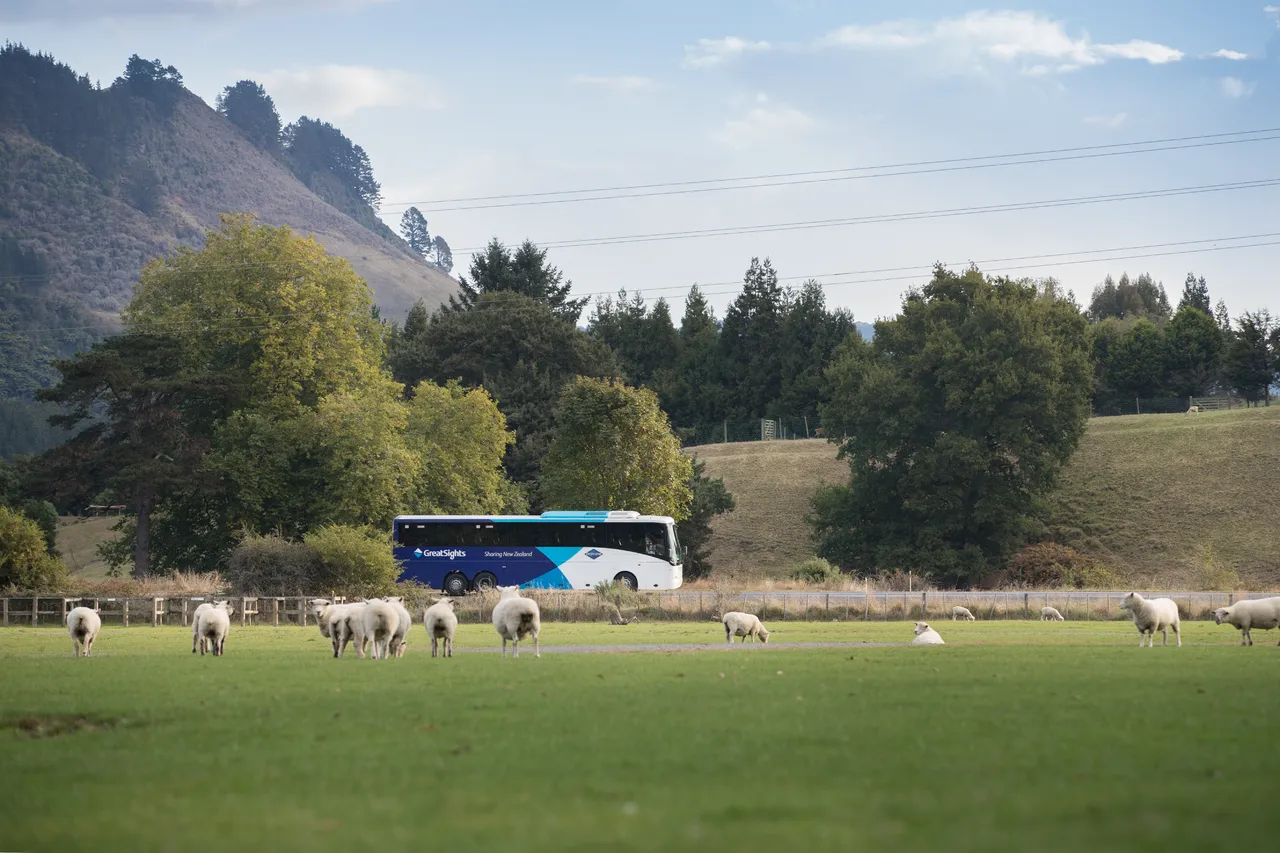 GreatSights Coach Driving in North Island