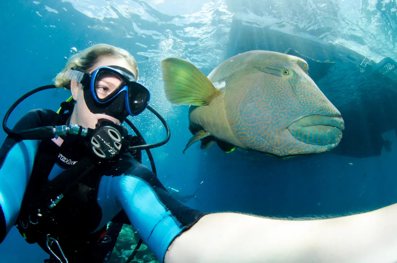 European female with Maori Wrasse