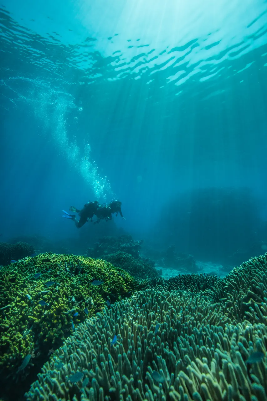 Group photo underwater with the reefs