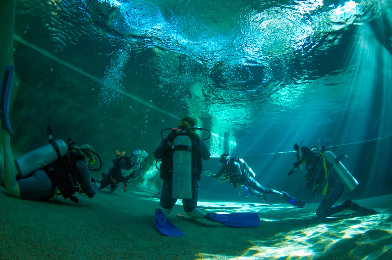 Students diving in the pool