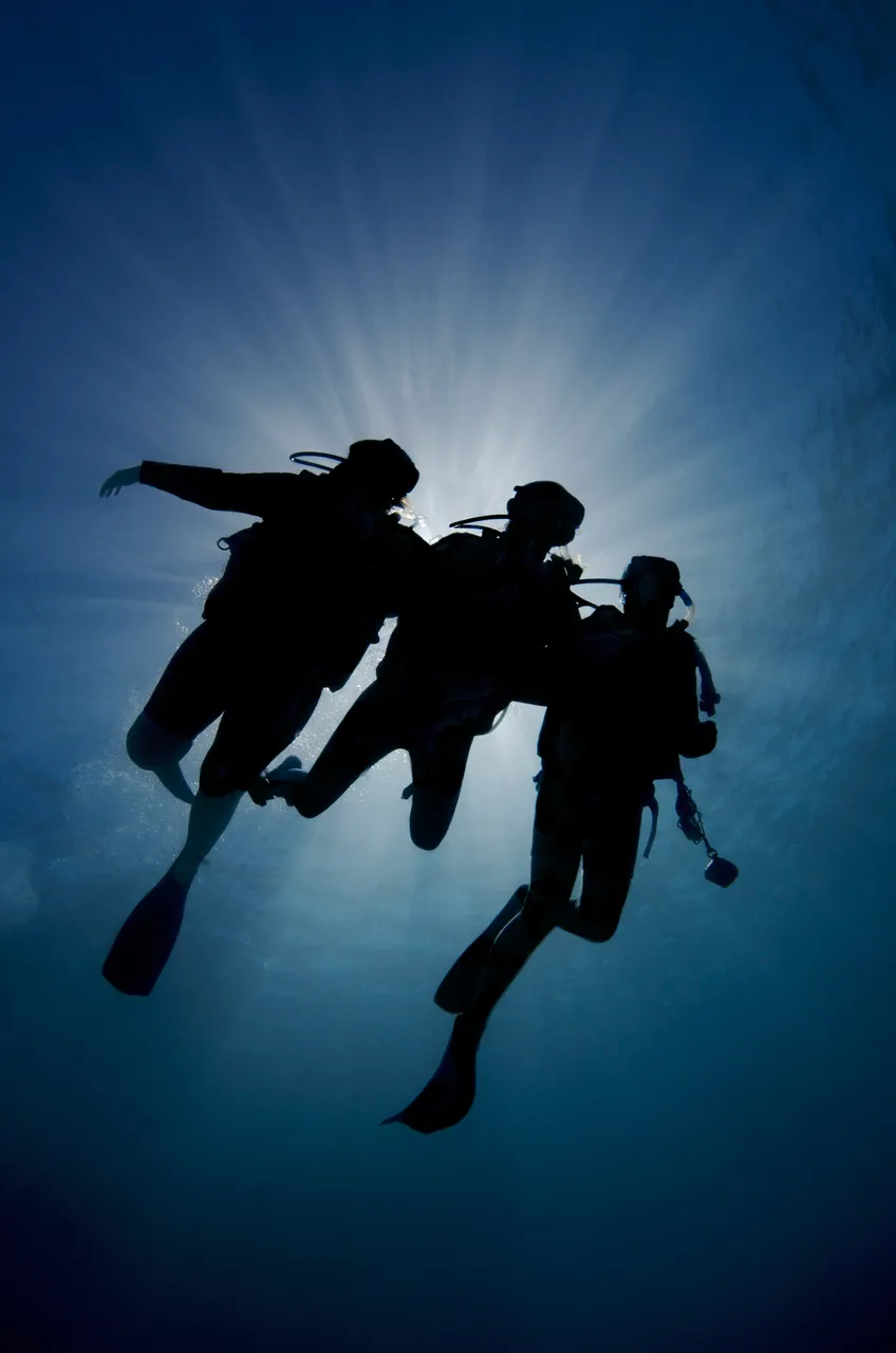 Divers Group photo underwater - silhouette