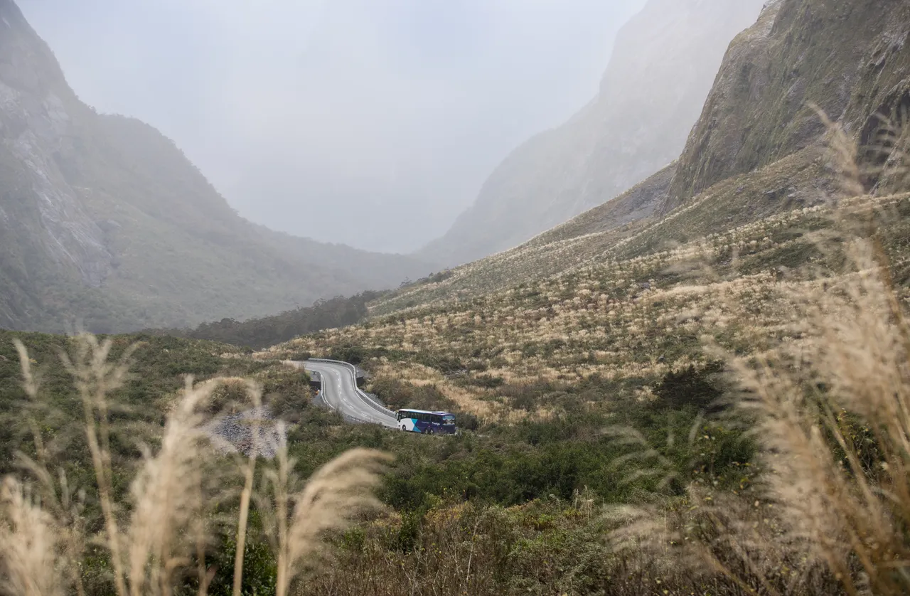 GreatSights coach on Milford Road