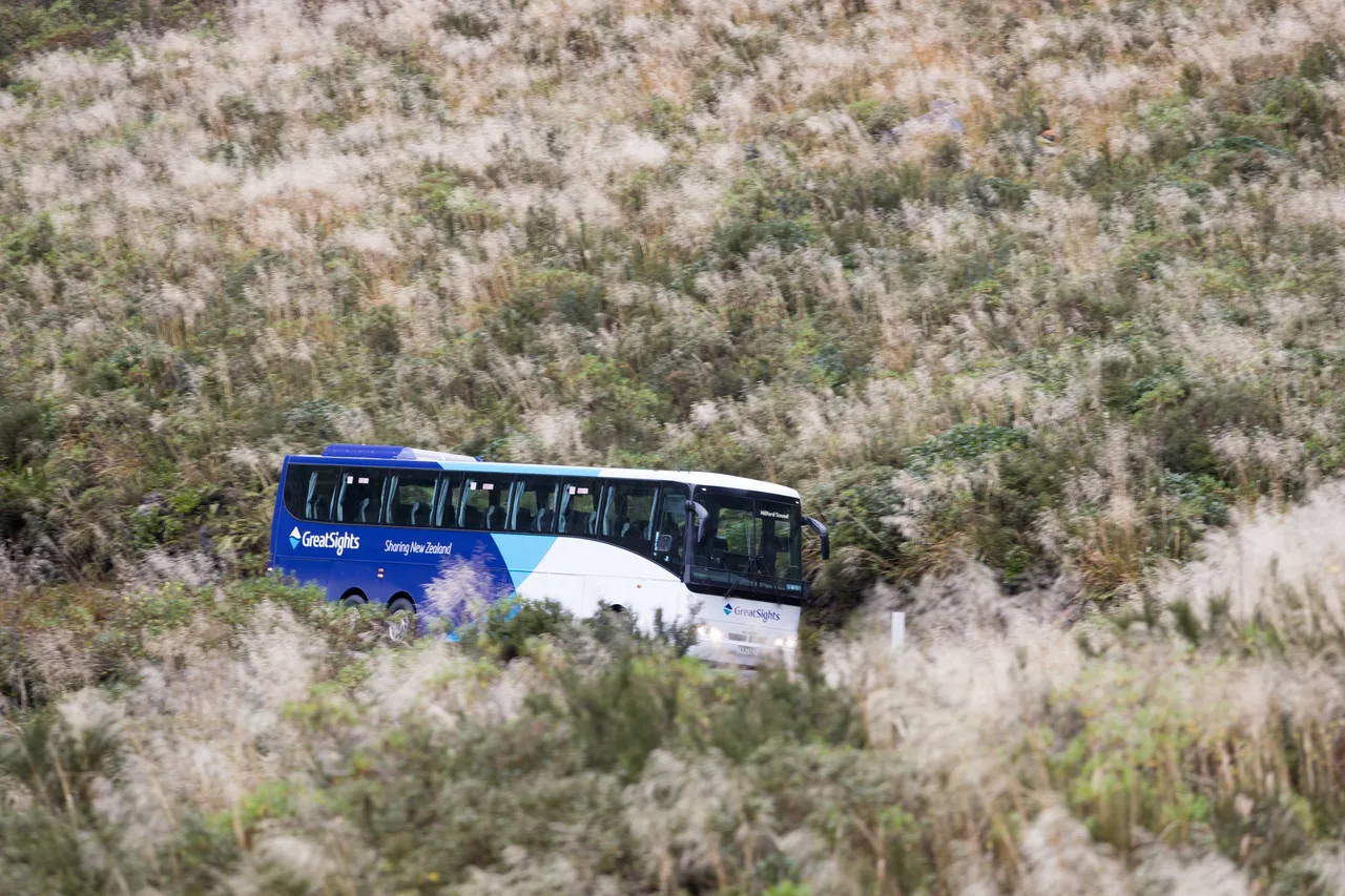 GreatSights coach on Milford Road