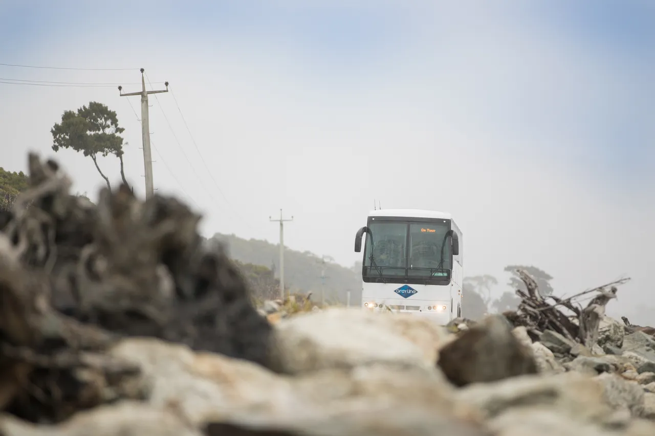 Gray Line Coach on West Coast road