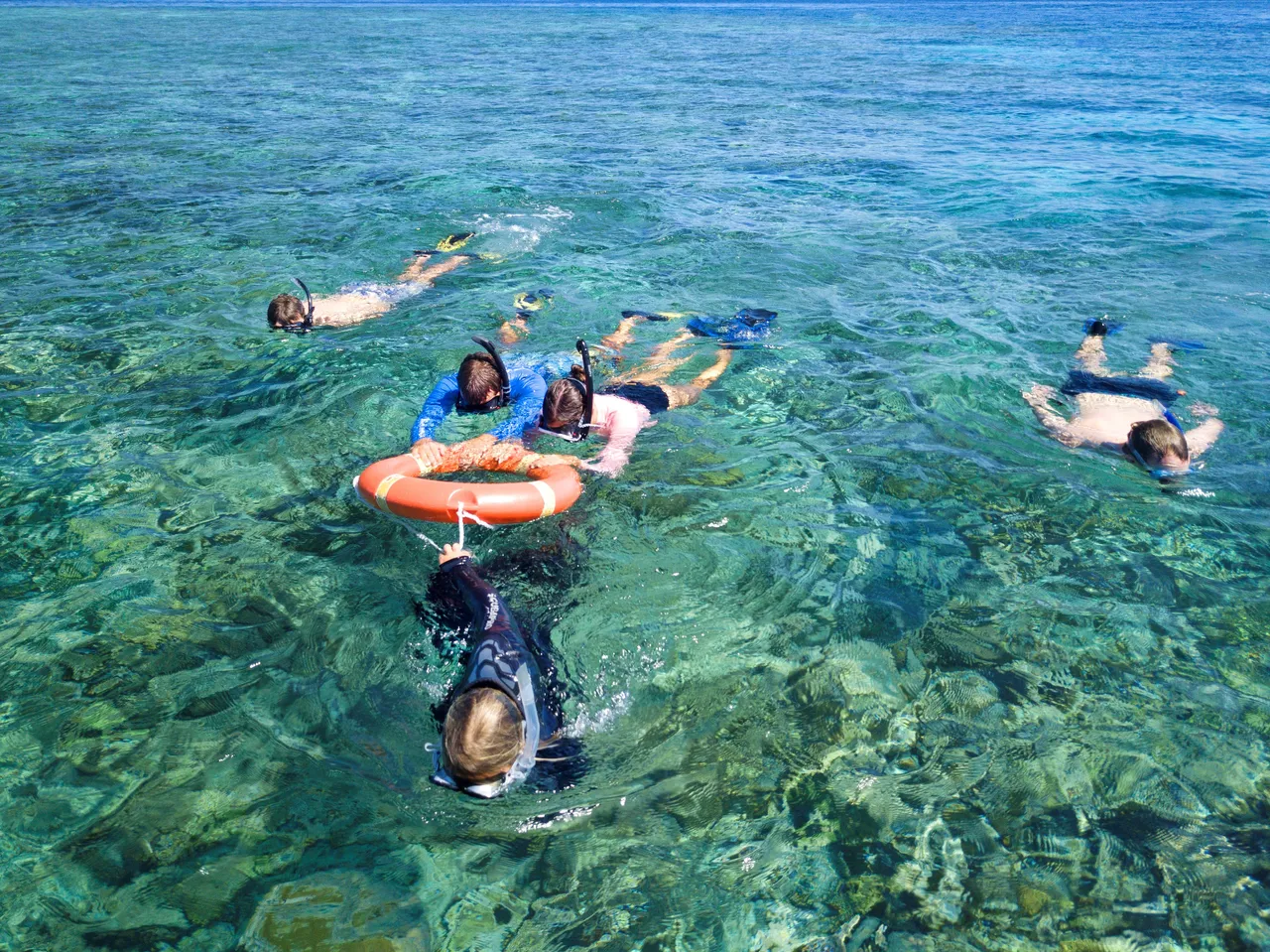 Snorkeling group aerial shot