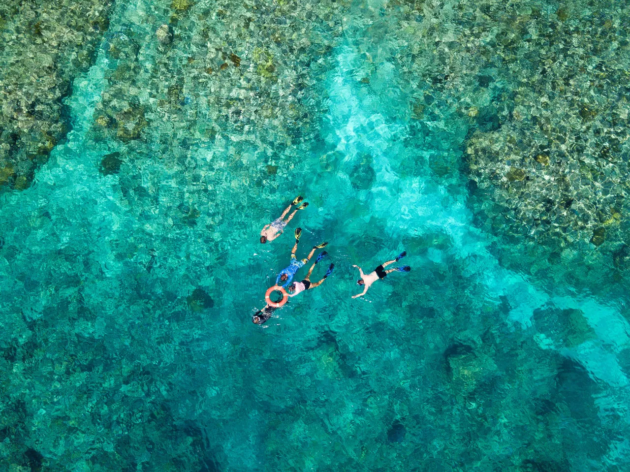 Snorkeling group aerial shot
