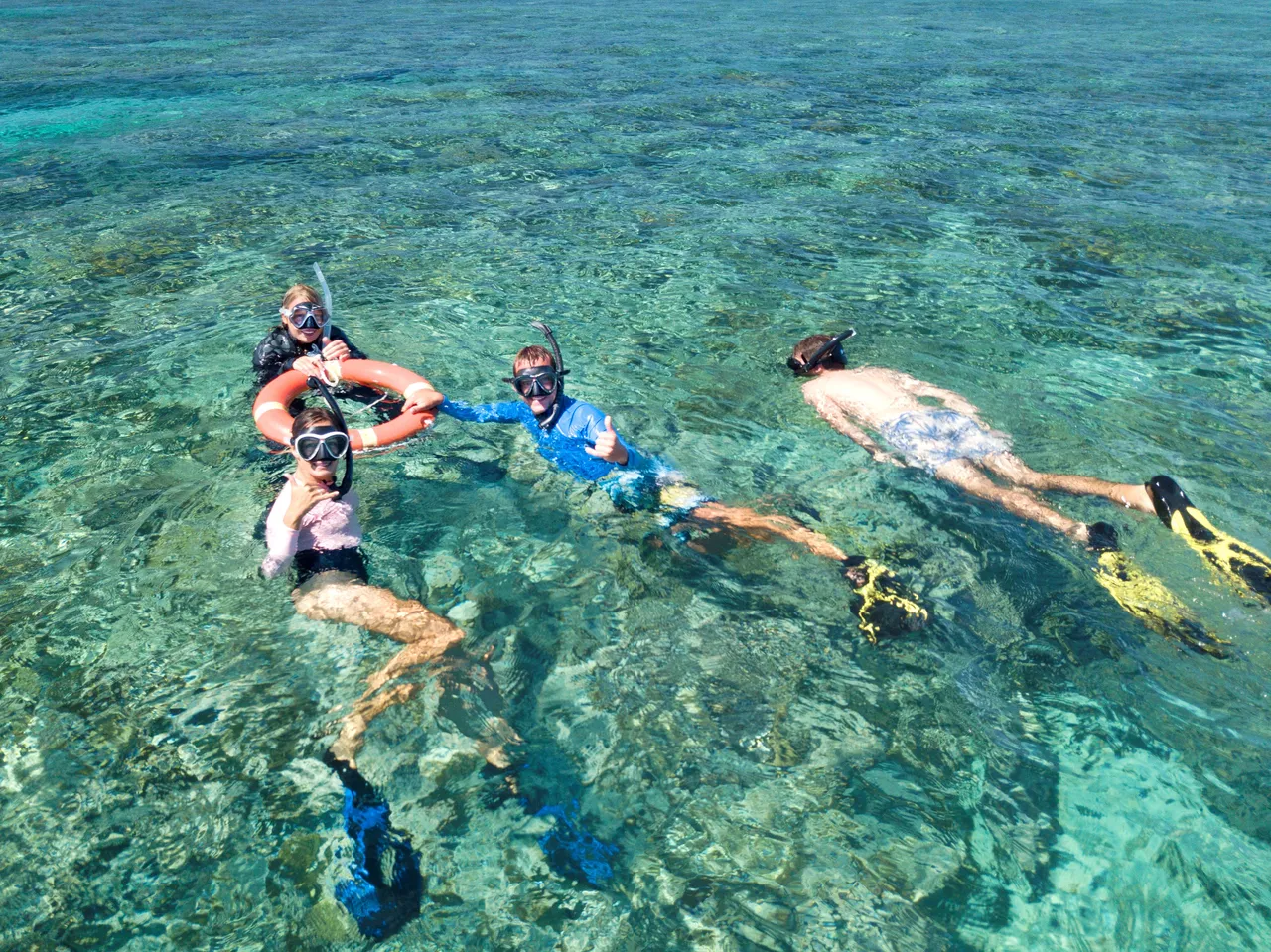 Snorkeling group aerial shot