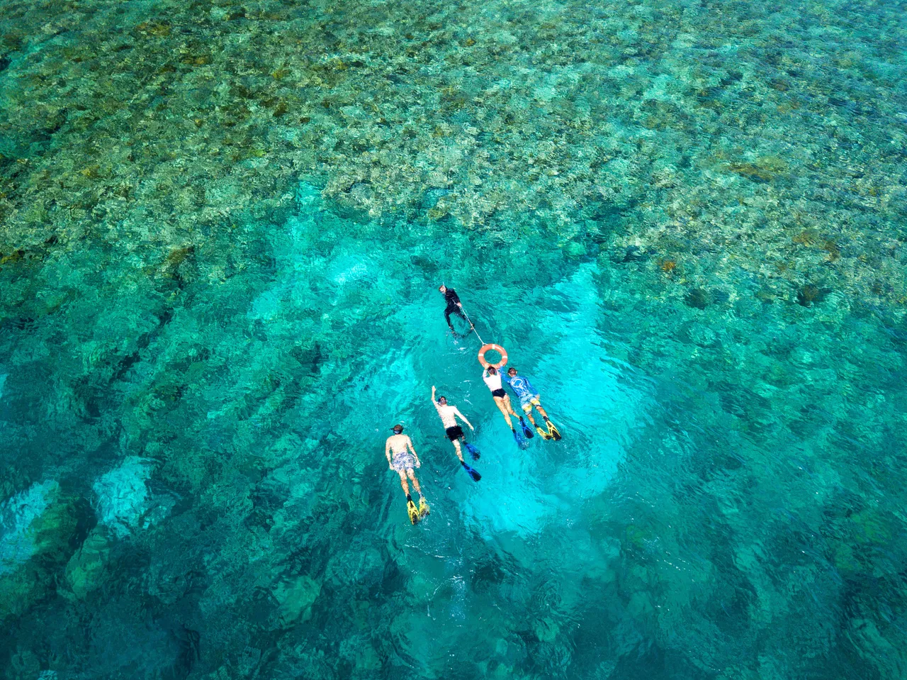 Snorkeling group aerial shot