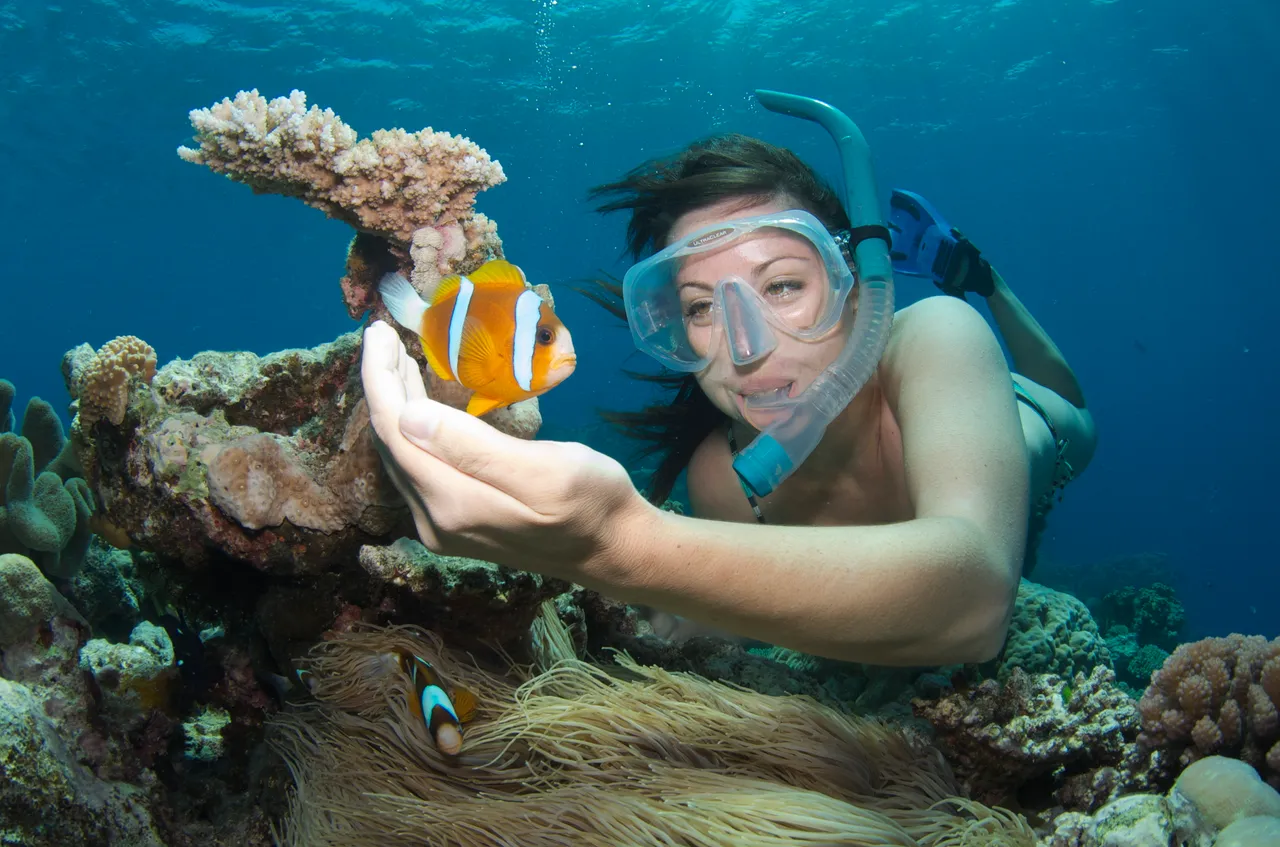 European lady next to a coral reef with a Clown fish