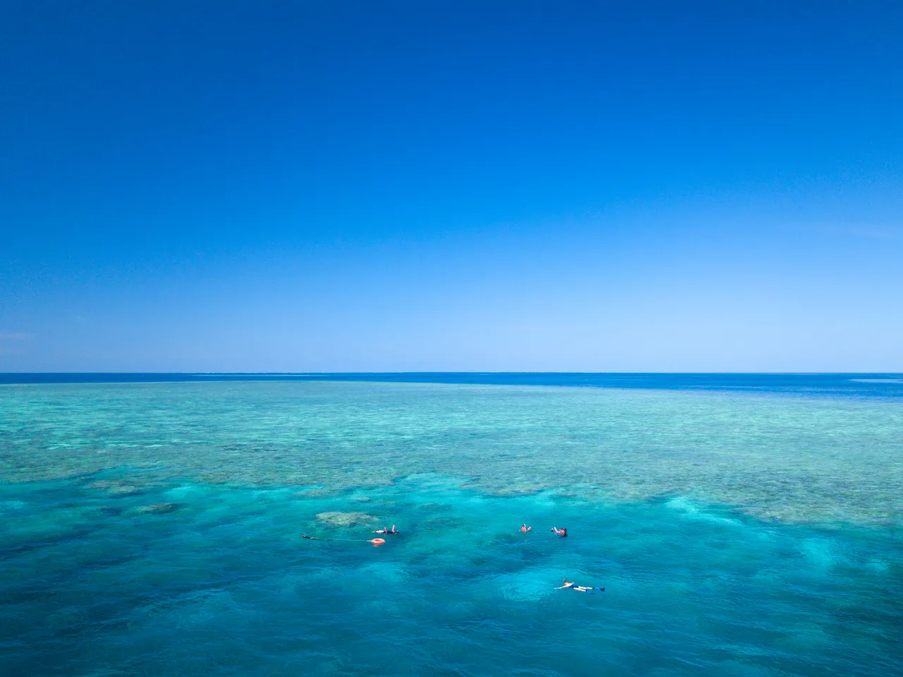 Snorkeling group aerial shot