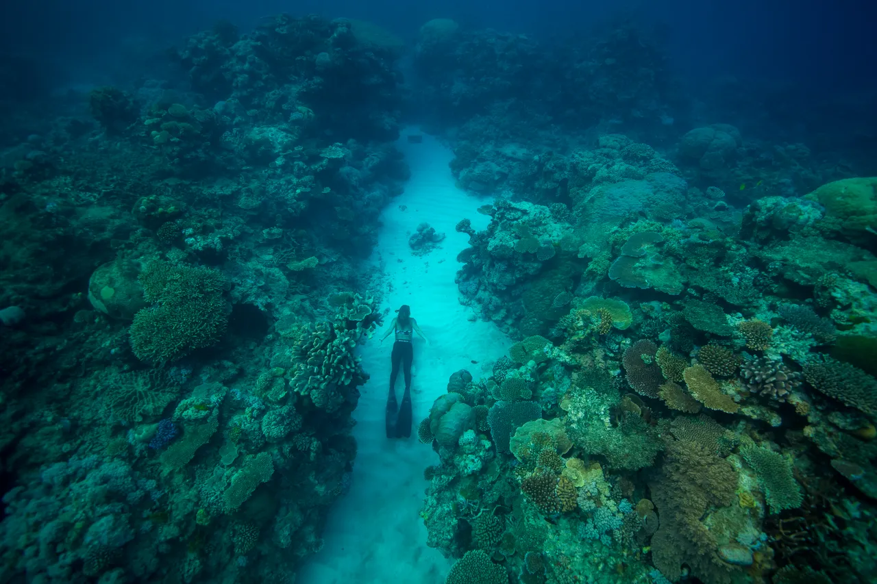 European female snorkeling on a bed of coral reef