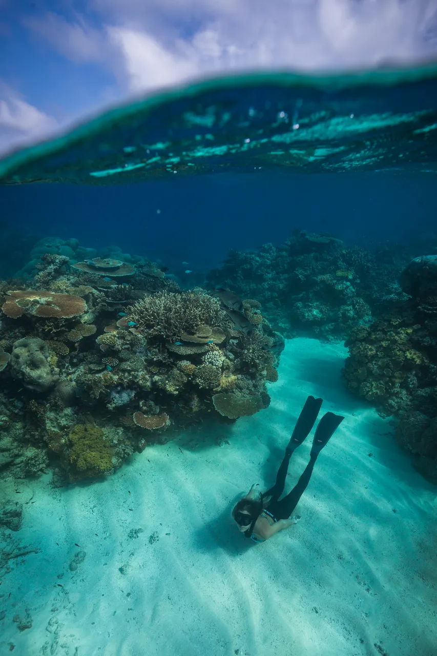 European female snorkeling on a bed of coral reef