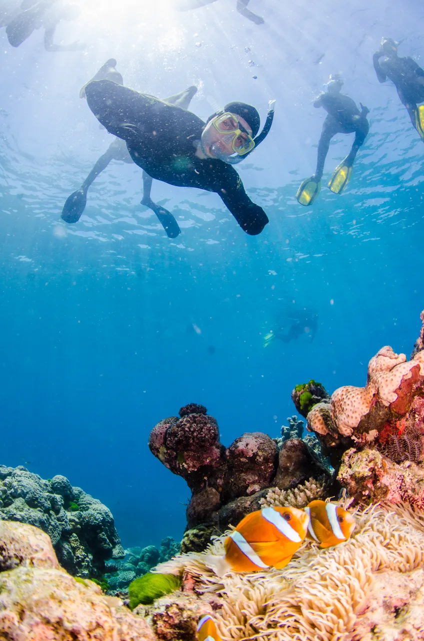 European man swimming near a coral with Clown fishes