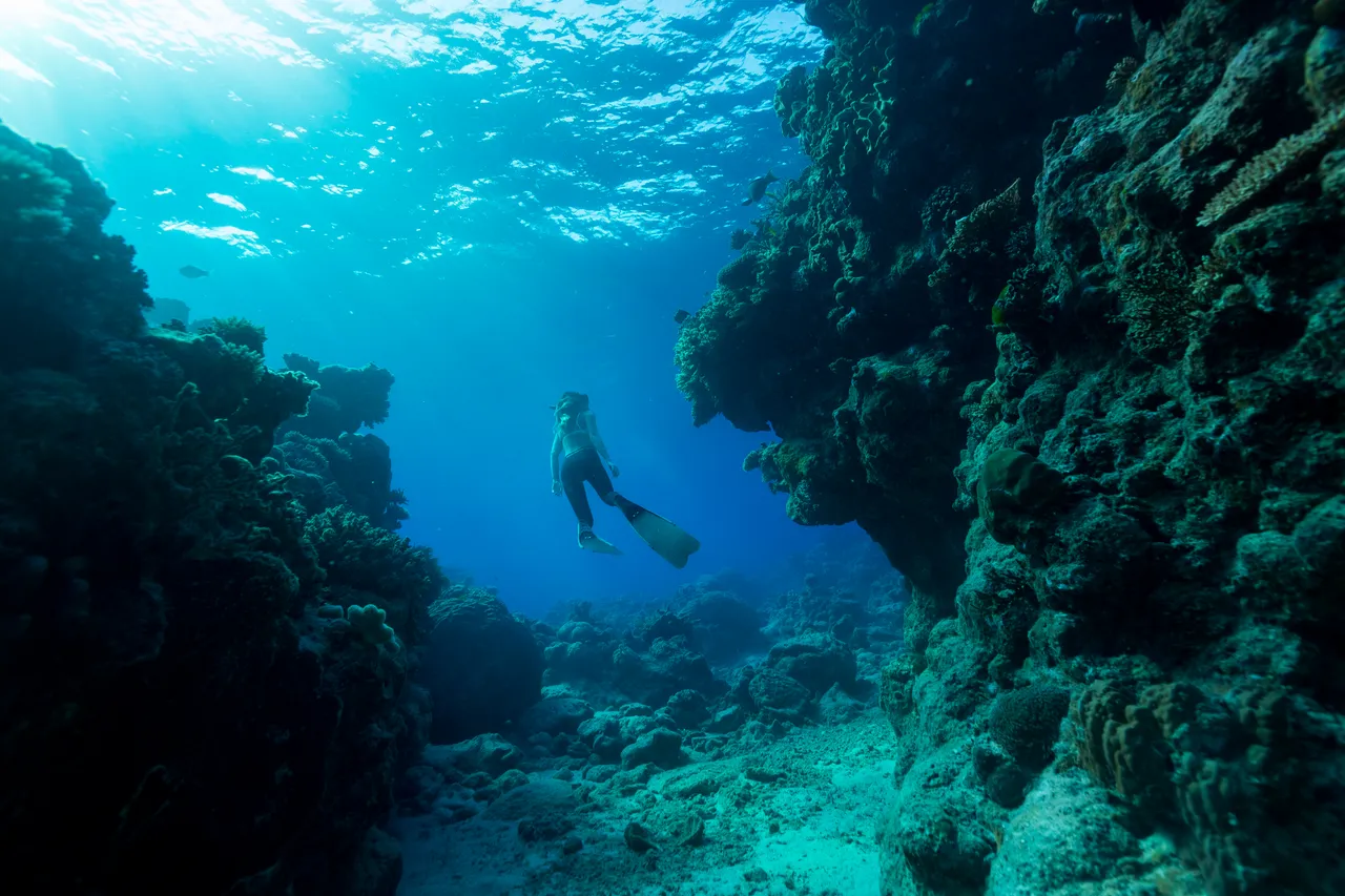 European female snorkeling on a bed of coral reef