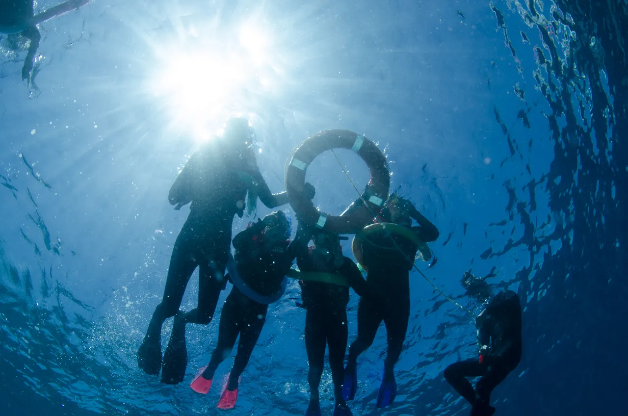 Snorkeling group with a life buoy - silhouette shot