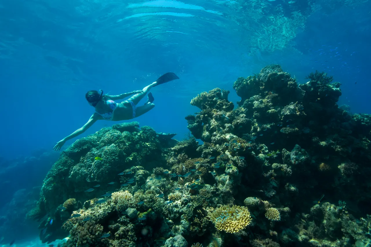 European female snorkeling on a bed of coral reef