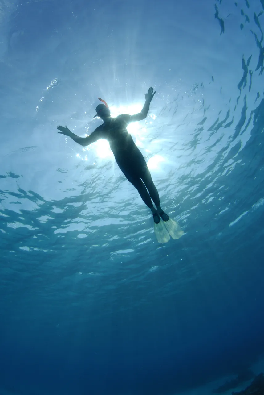 Snorkeler silhouette