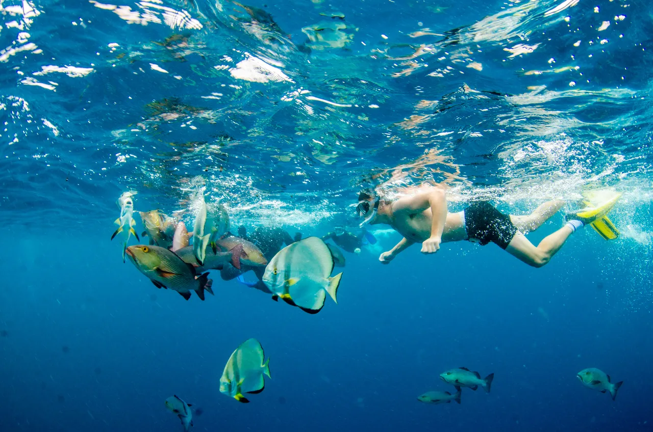 Snorkeling group swimming near a school of fishes