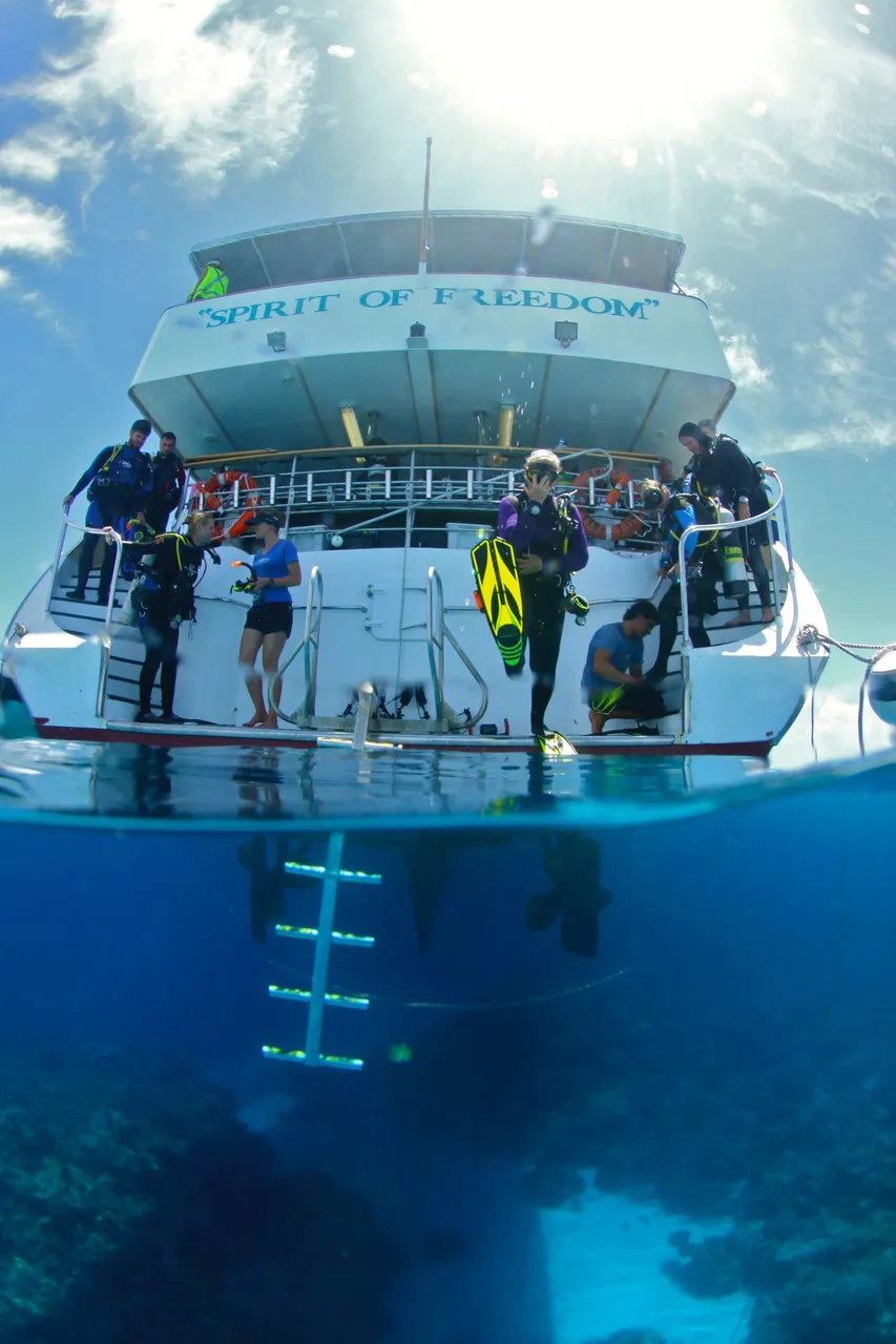 Divers entering water Spirit of Freedom