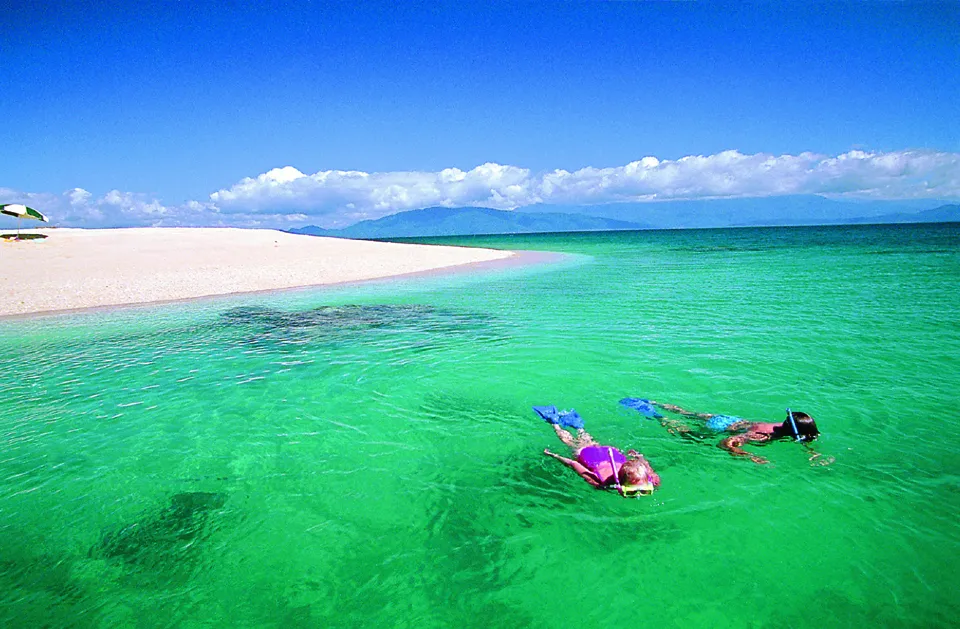 Frankland islands snorkelling