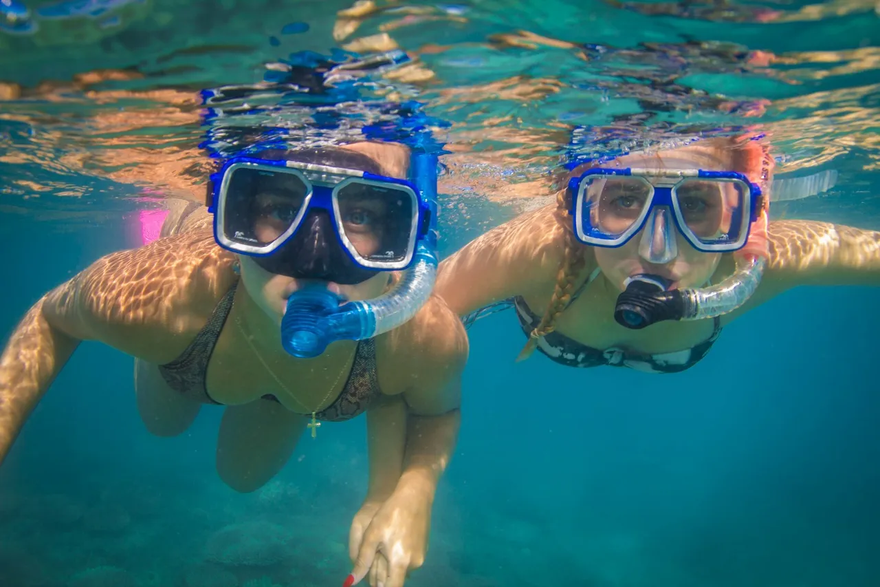 Frankland islands reef cruises_snorkellers
