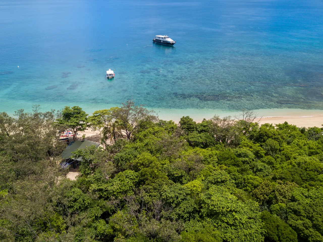 Rainforest, beach and coral reefs on Normanby Island