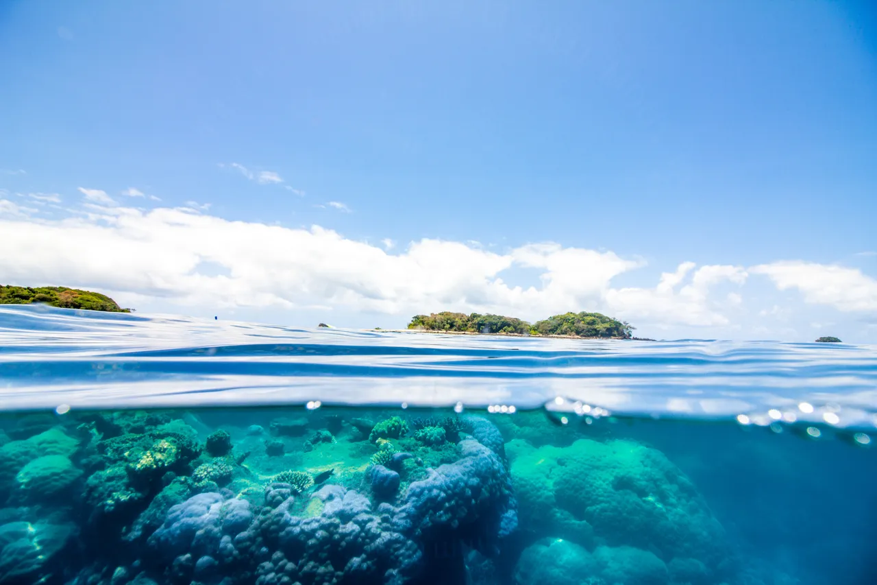Split view above and below the water
