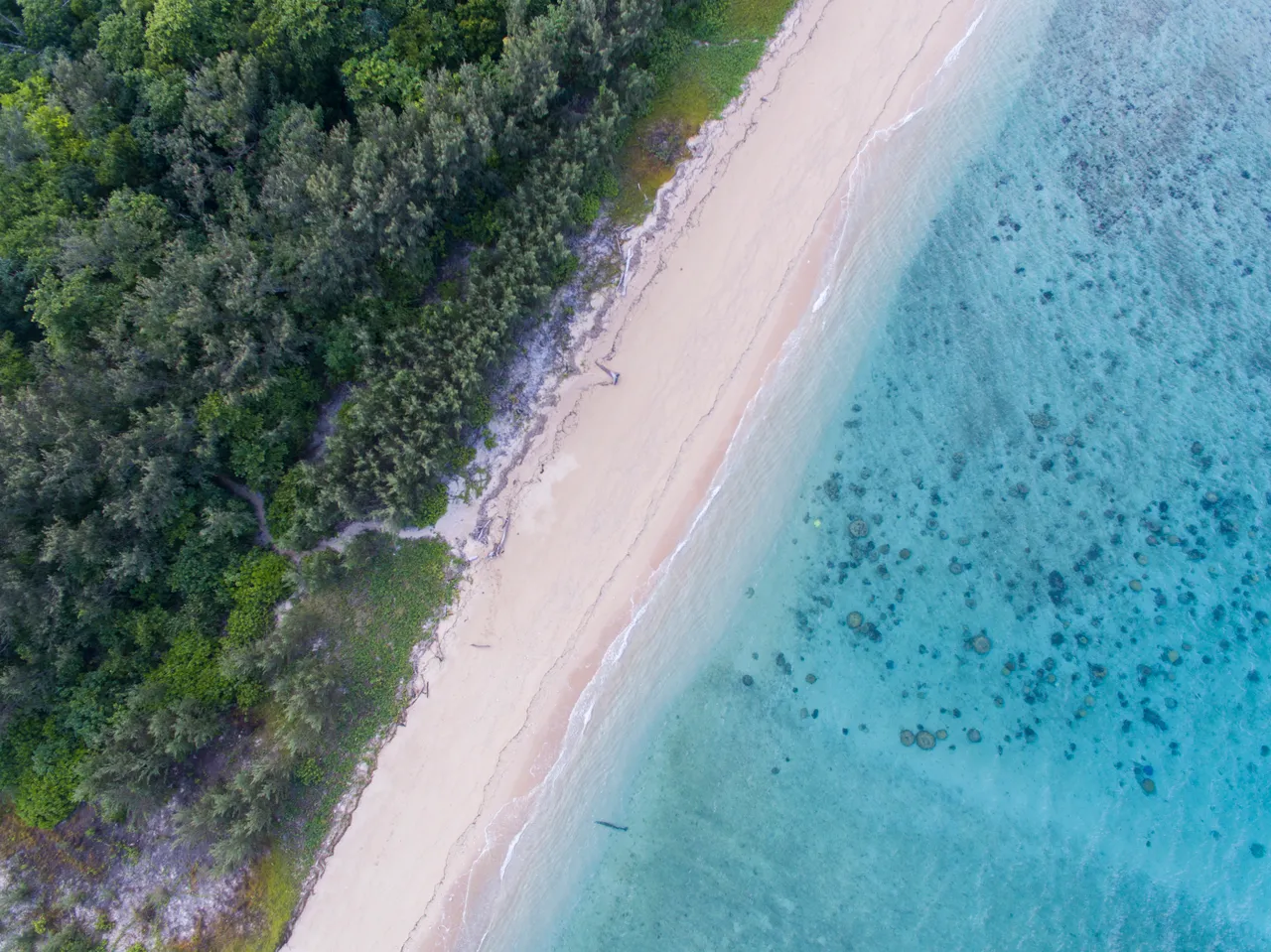 Aerial view of Normanby Island beach and rainforest