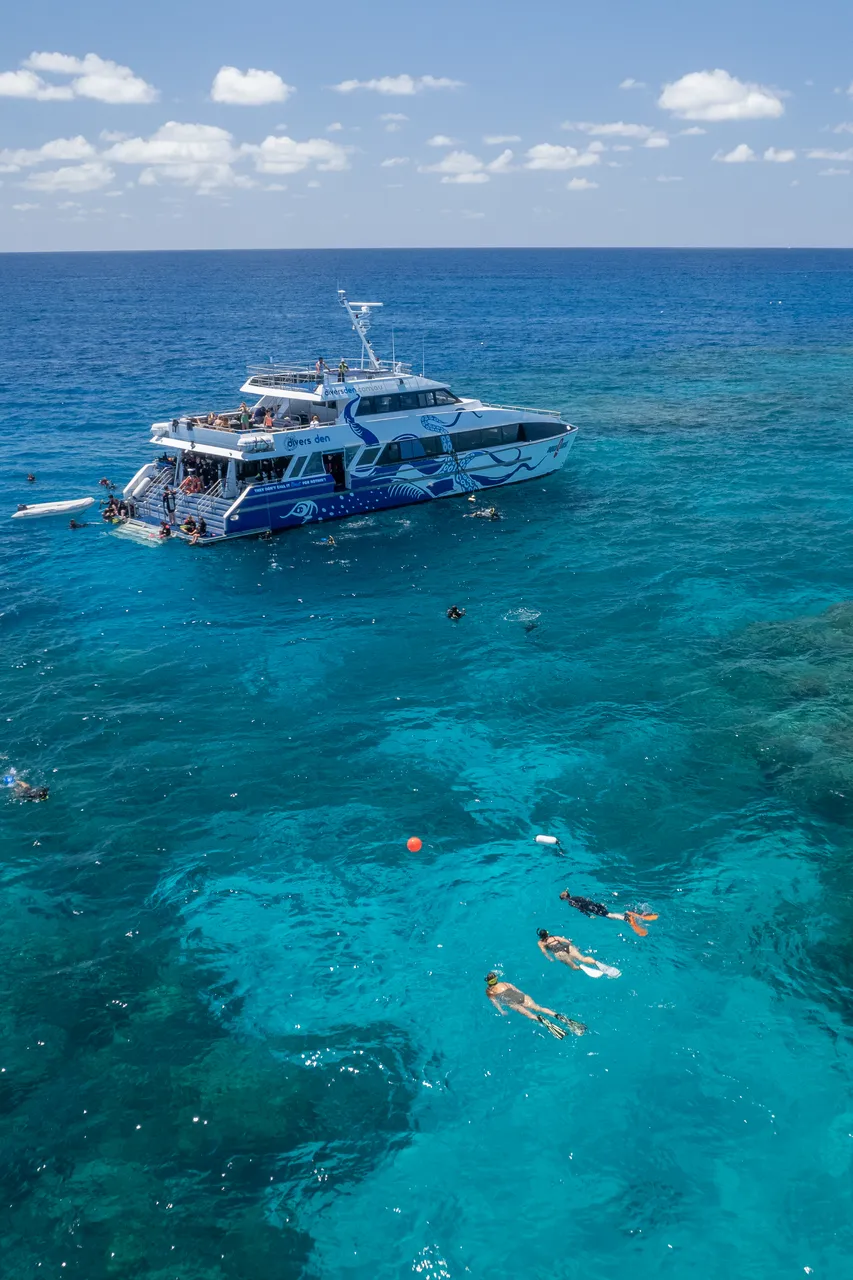 Divers Den Aqua Quest Aerial (29)