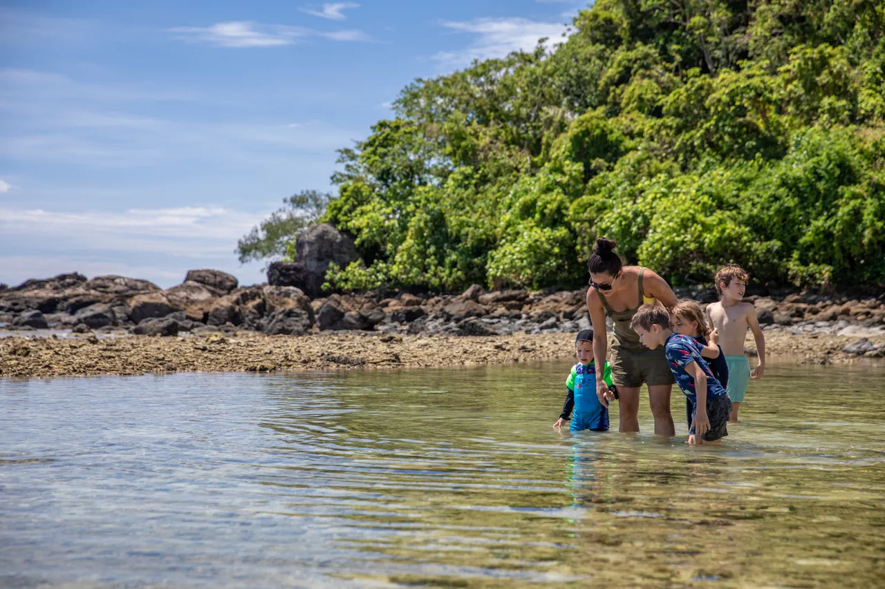 Frankland Islands