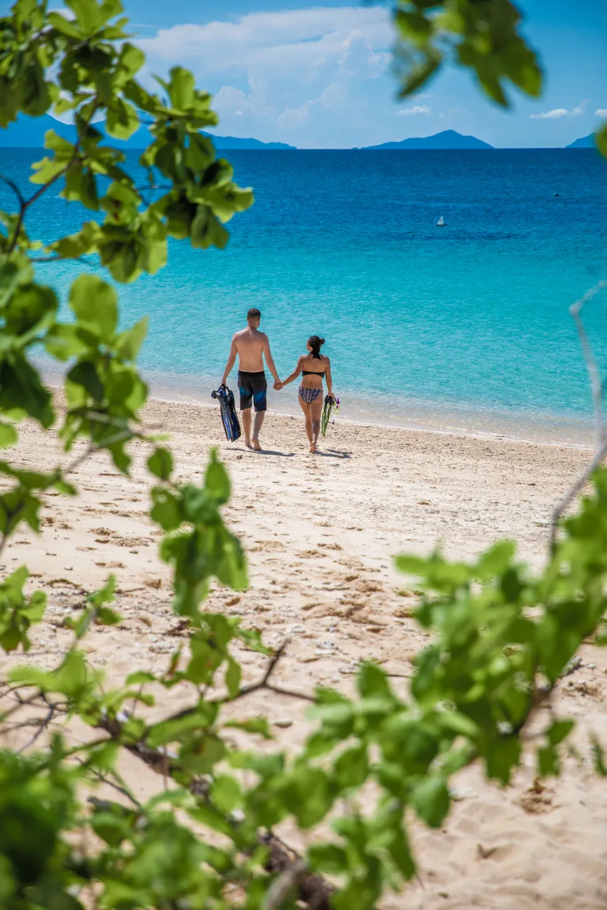 Frankland Islands