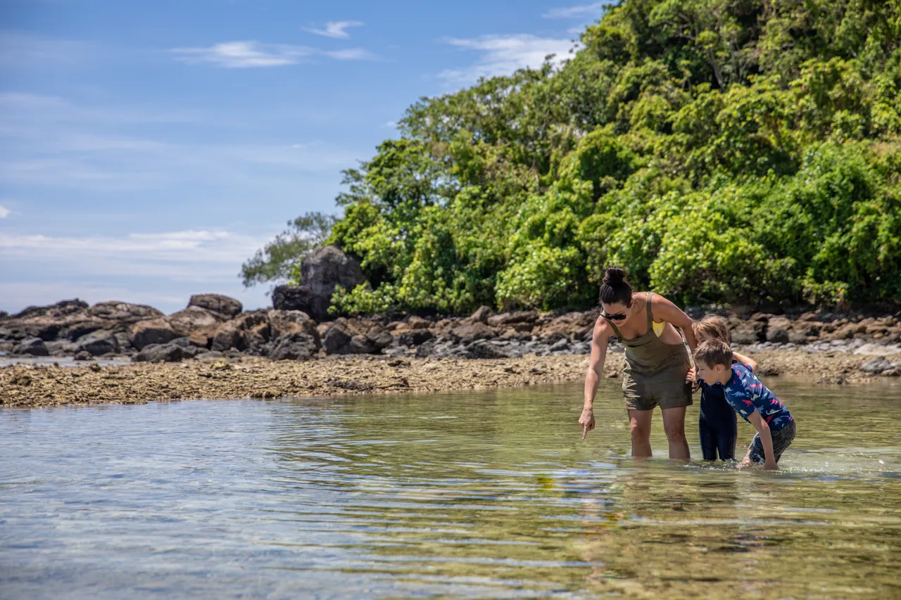 Frankland Islands