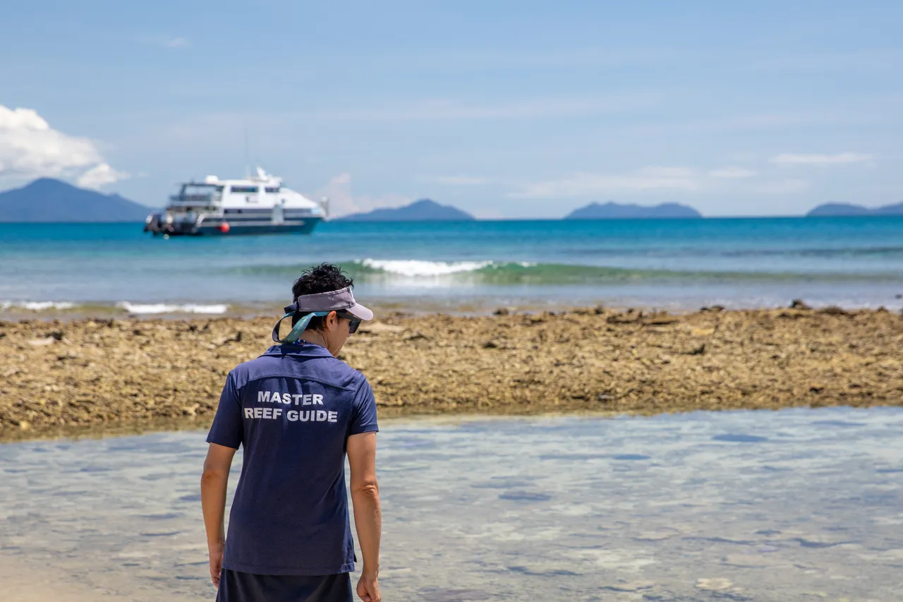 Frankland Islands