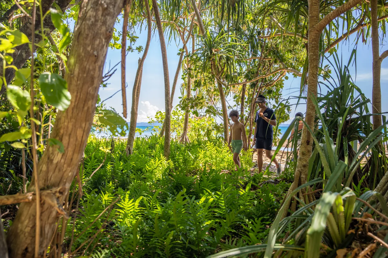 Frankland Islands