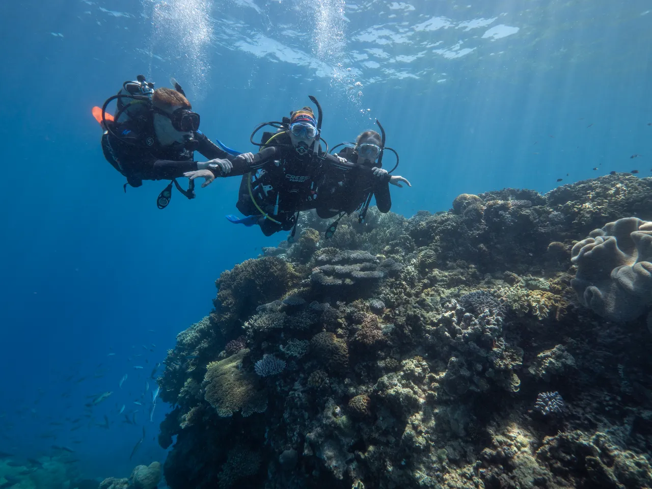 Divers Den Aqua Quest Intro Dive (26)