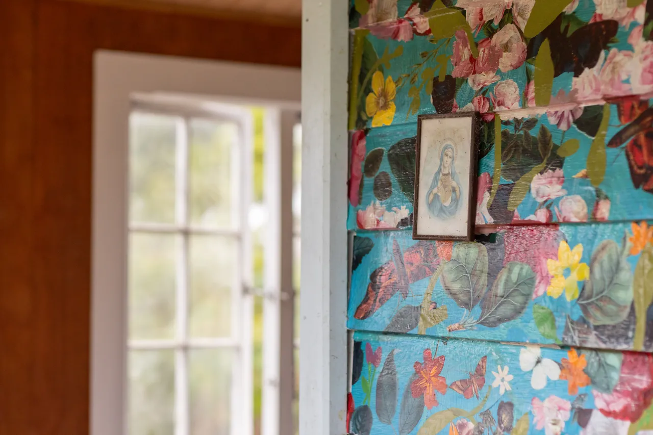 Home and Studio of Tracey Williams, Kohukohu