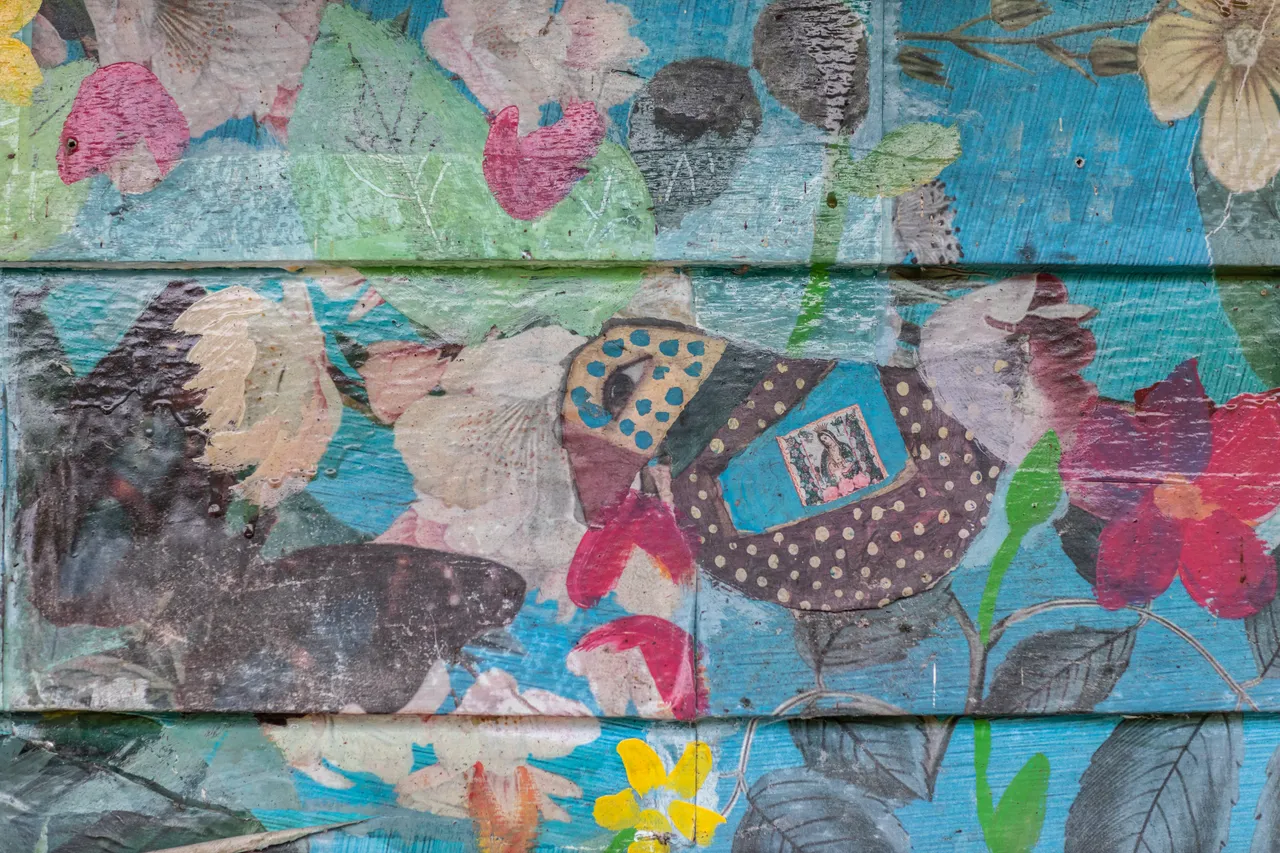 Home and Studio of Tracey Williams, Kohukohu