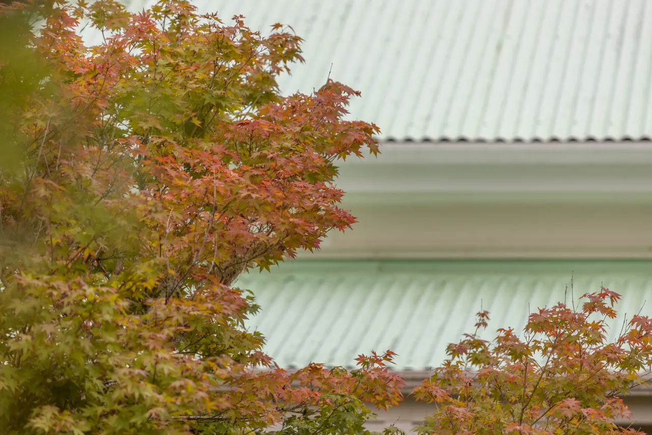 Kohukohu villa