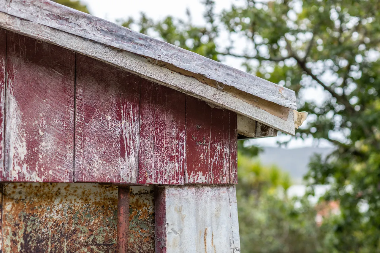 A weathered shed is made of many textures in Kohukohu