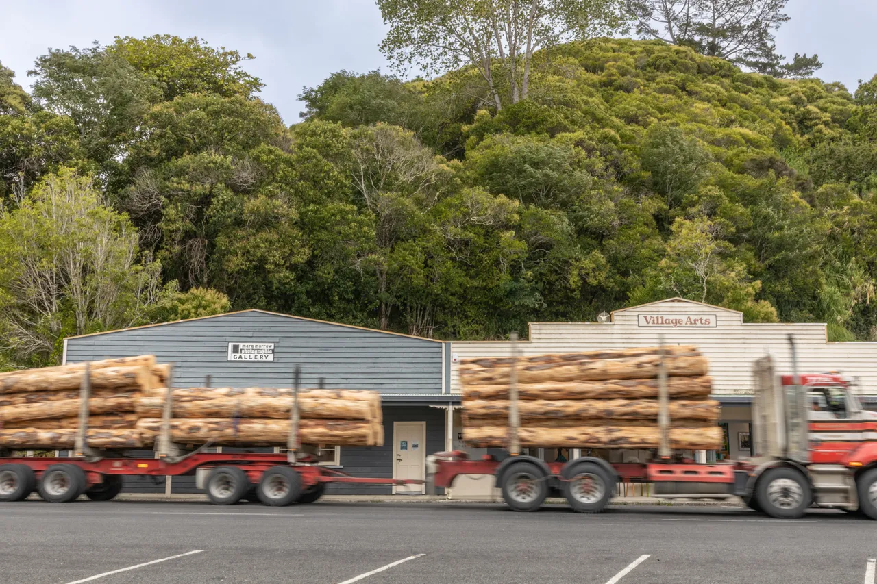 Logging truck drives by Village Arts Gallery, Kohukohu