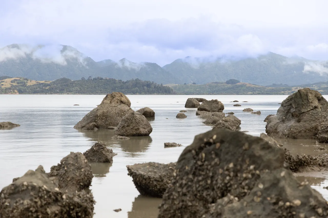 Koutu Boulders