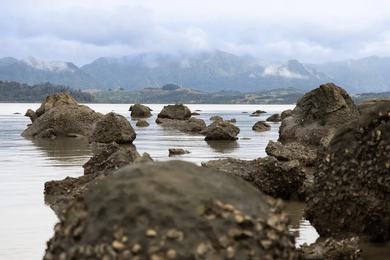 Koutu Boulders